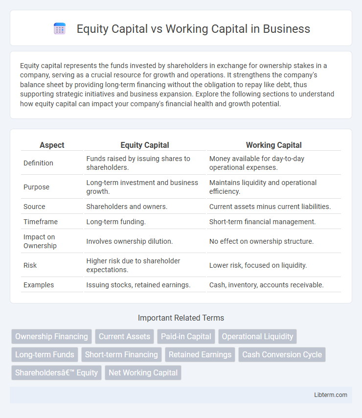 Working Capital vs Equity Capital in Business - What is The Difference?