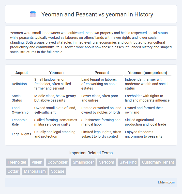 yeoman vs Yeoman and Peasant in History - What is The Difference?