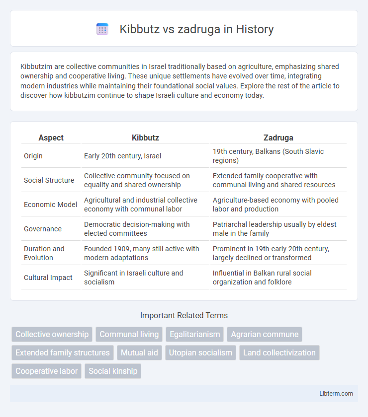 zadruga vs Kibbutz in History - What is The Difference?