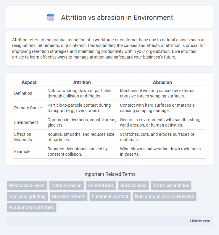 abrasion vs Attrition in Environment - What is The Difference?