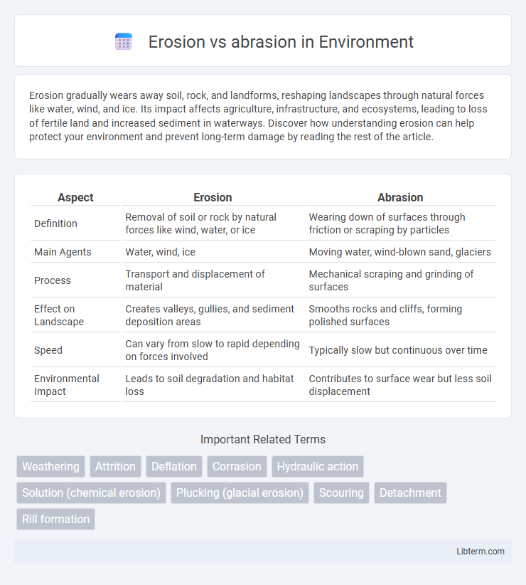 abrasion vs Erosion in Environment - What is The Difference?