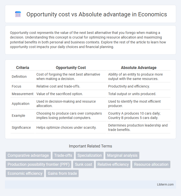 Absolute advantage vs Opportunity cost in Economics - What is The Difference?