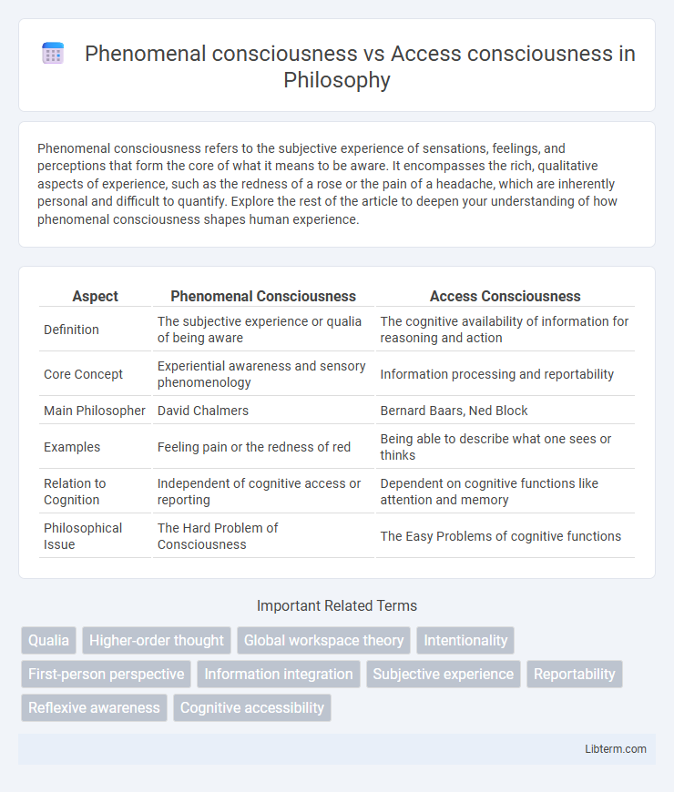 Access consciousness vs Phenomenal consciousness in Philosophy - What is The Difference?
