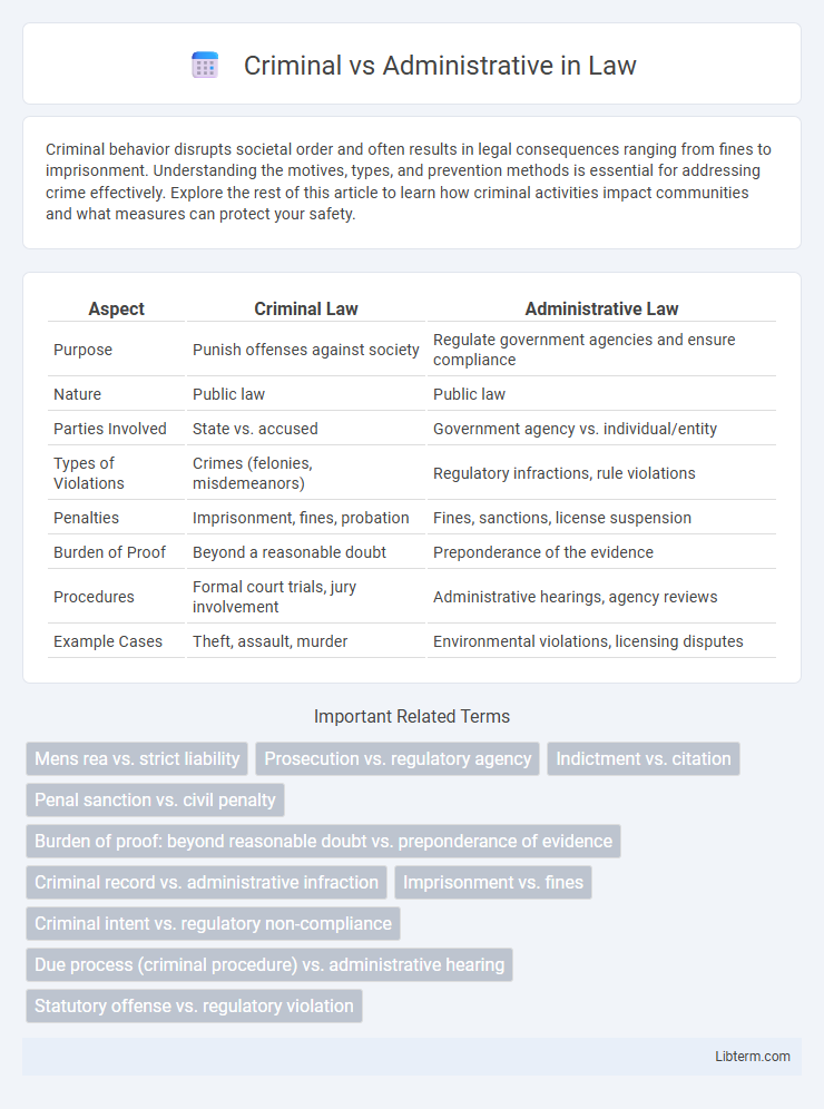 Administrative vs Criminal in Law - What is The Difference?