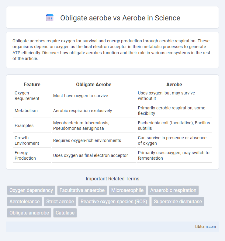 Aerobe vs Obligate aerobe in Science - What is The Difference?