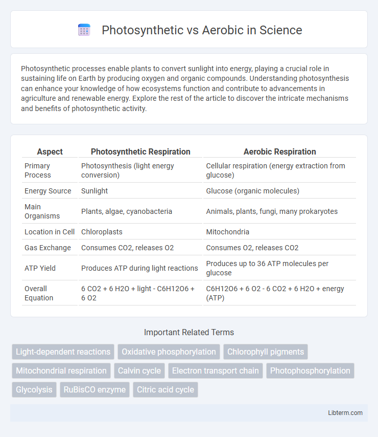 Aerobic vs Photosynthetic in Science - What is The Difference?
