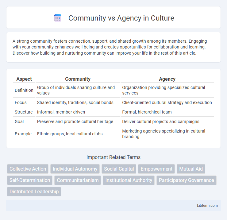 Agency vs Community in Culture - What is The Difference?