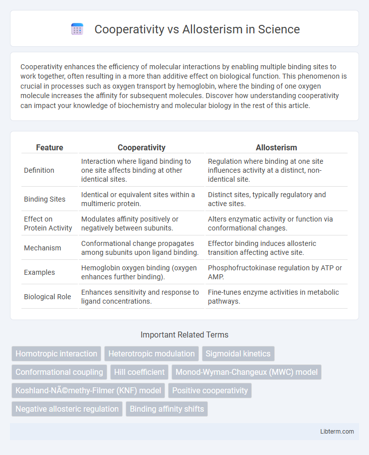 Allosterism vs Cooperativity in Science - What is The Difference?