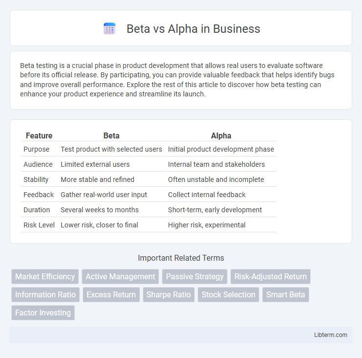 Alpha vs Beta in Business - What is The Difference?