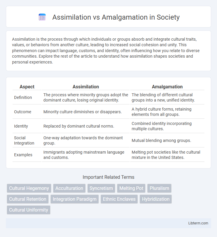 Amalgamation vs Assimilation in Society - What is The Difference?