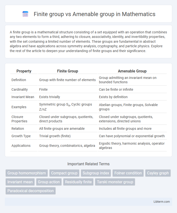 Amenable group vs Finite group in Mathematics - What is The Difference?