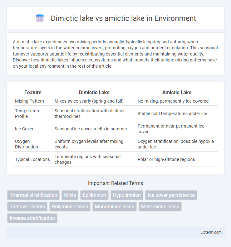 amictic lake vs Dimictic lake in Environment - What is The Difference?