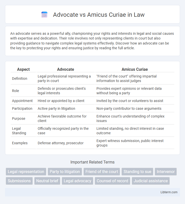 Amicus Curiae vs Advocate in Law - What is The Difference?
