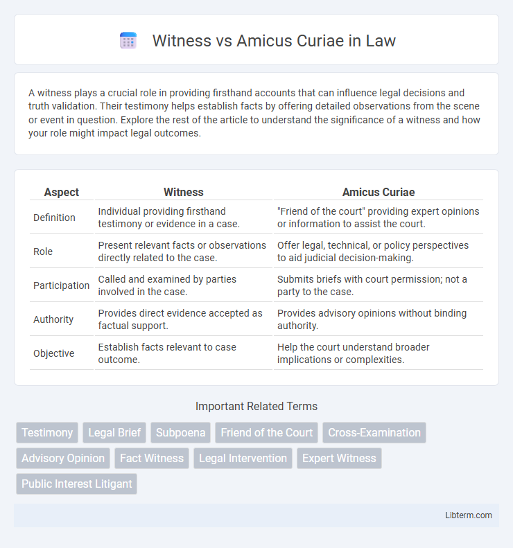 Amicus Curiae vs Witness in Law - What is The Difference?