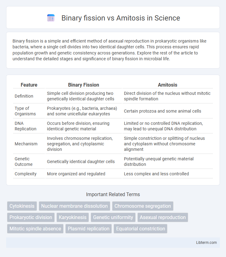 Amitosis vs Binary fission in Science - What is The Difference?