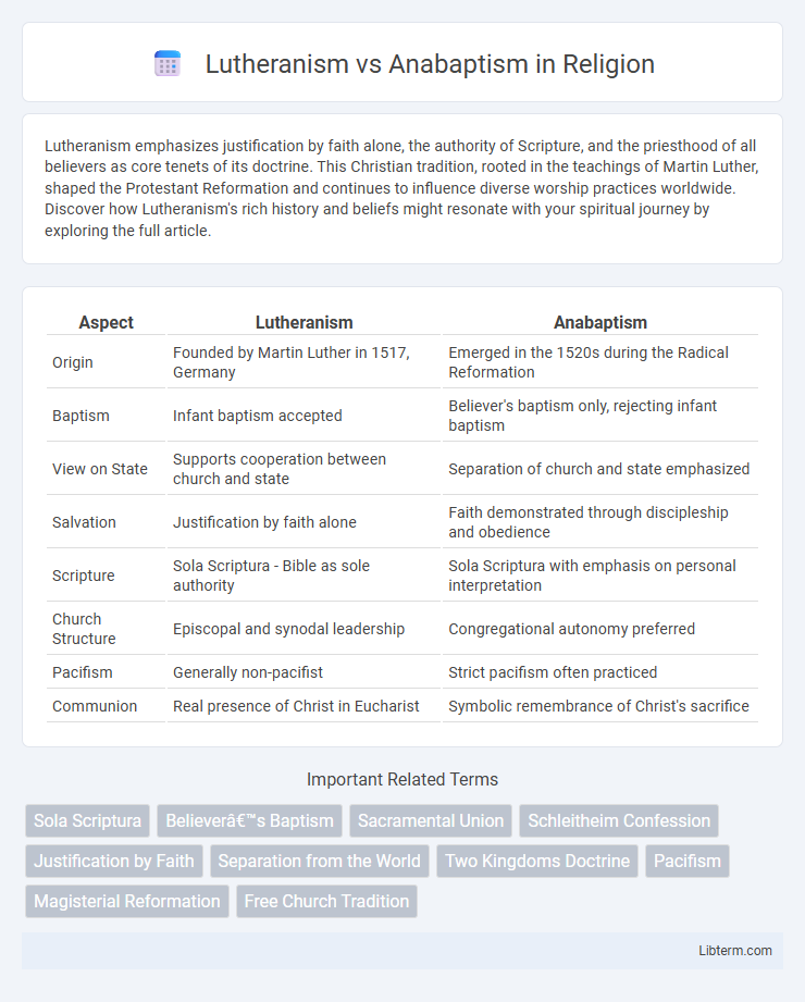 Anabaptism vs Lutheranism in Religion - What is The Difference?