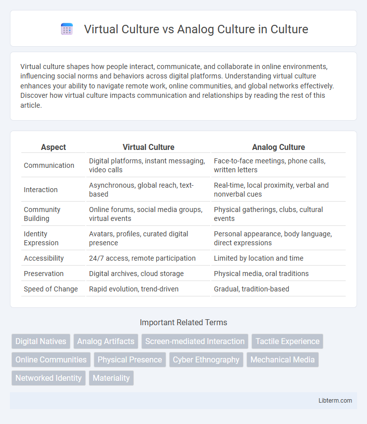 Analog Culture vs Virtual Culture in Culture - What is The Difference?