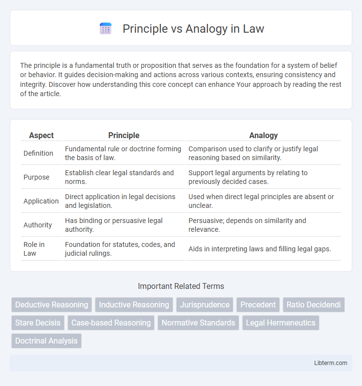 Analogy vs Principle in Law - What is The Difference?