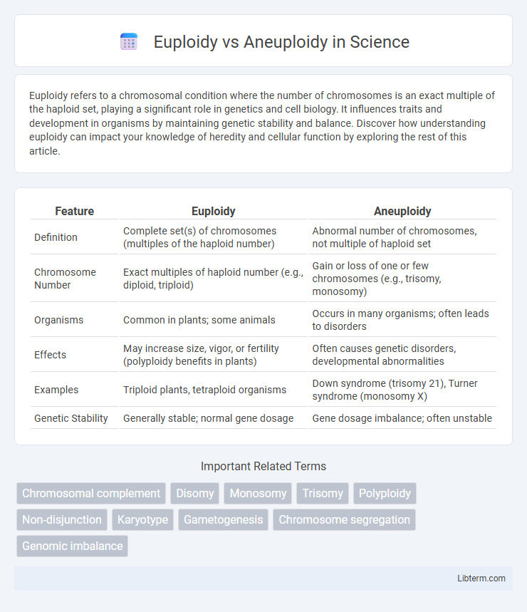 Aneuploidy vs Euploidy in Science - What is The Difference?