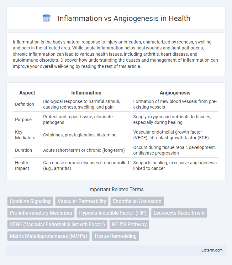 Angiogenesis vs Inflammation in Health - What is The Difference?