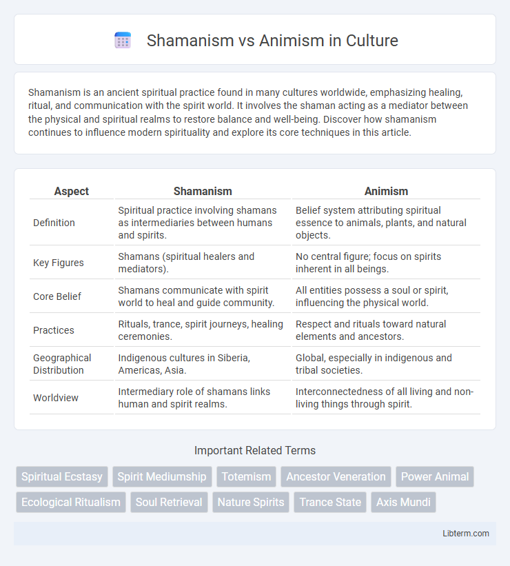 Animism vs Shamanism in Culture - What is The Difference?