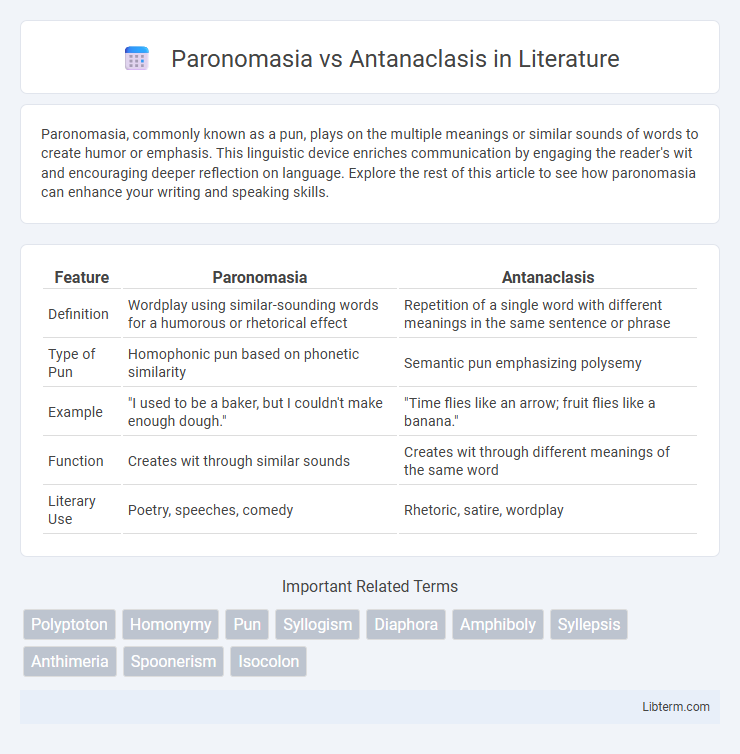Antanaclasis vs Paronomasia in Literature - What is The Difference?