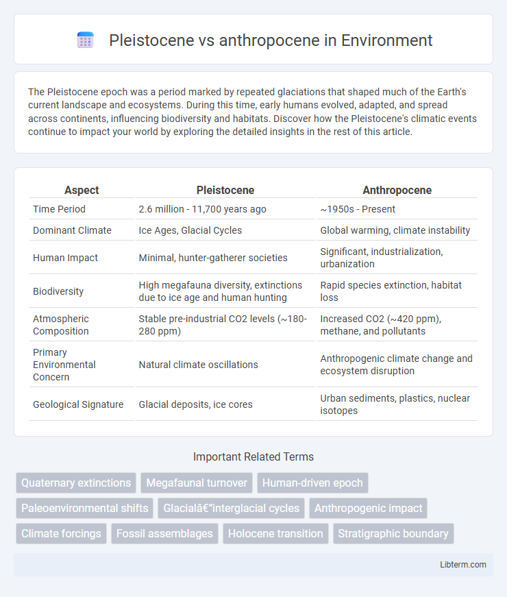 anthropocene vs Pleistocene in Environment - What is The Difference?