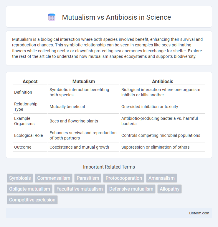 Antibiosis vs Mutualism in Science - What is The Difference?
