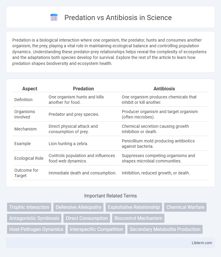 Antibiosis vs Predation in Science - What is The Difference?