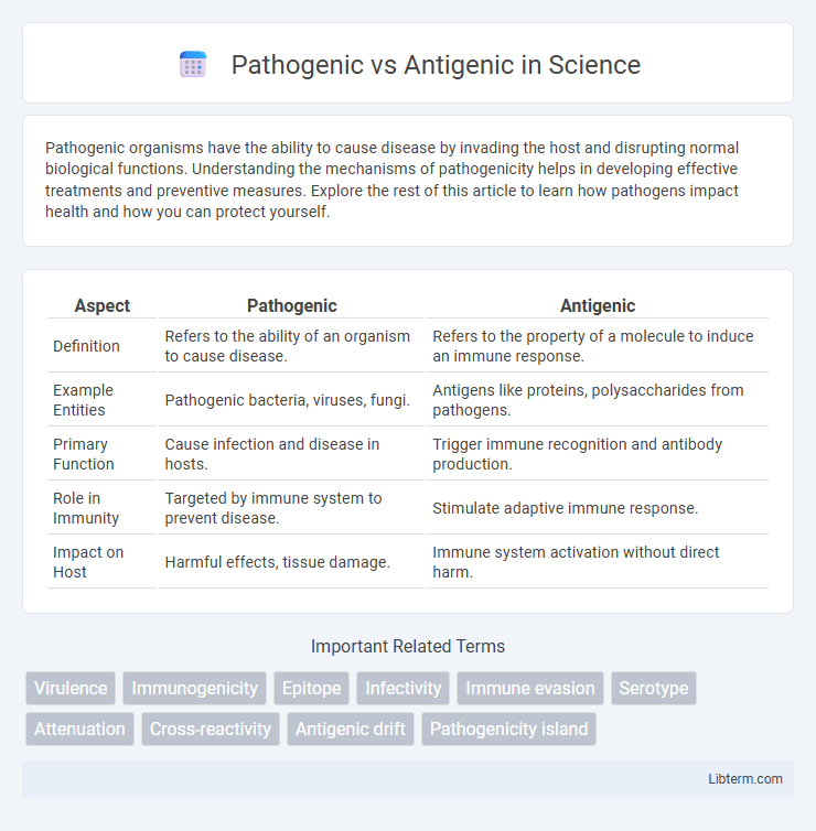 Antigenic vs Pathogenic in Science - What is The Difference?
