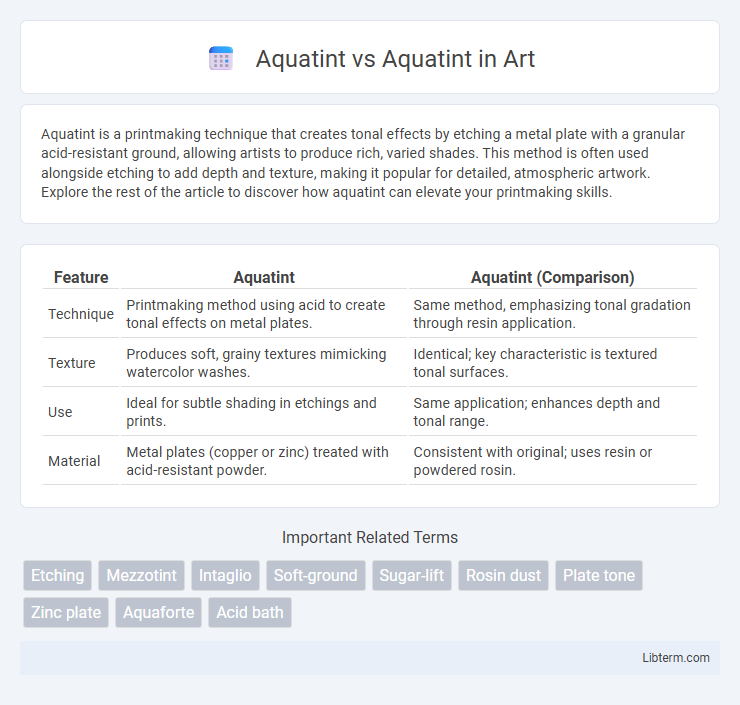 Aquatint vs Aquatint in Art - What is The Difference?