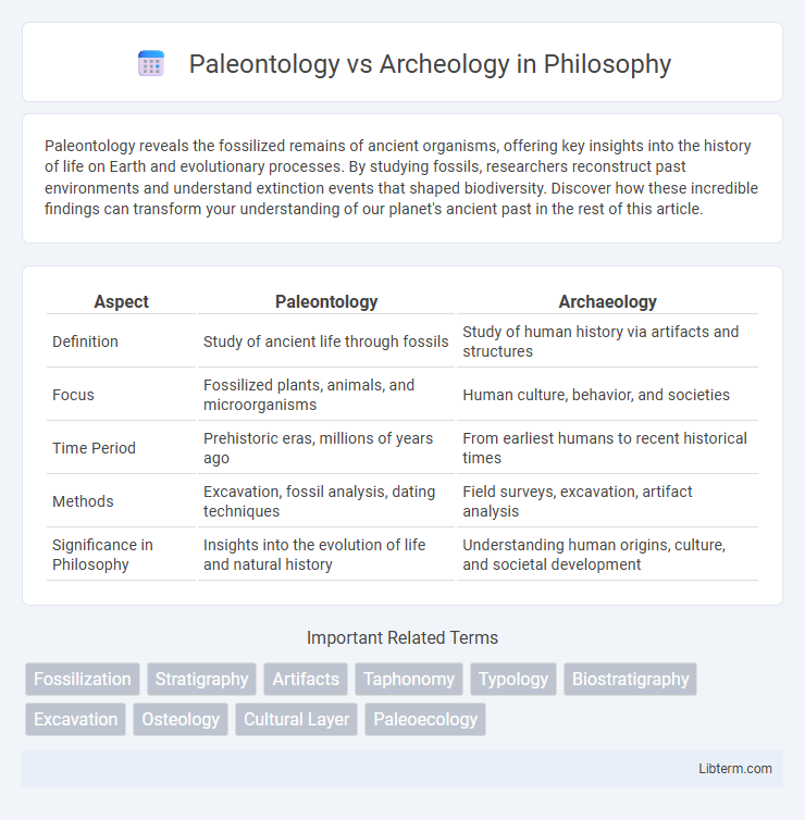 Archeology vs Paleontology in Philosophy - What is The Difference?
