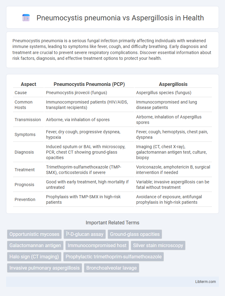 Aspergillosis vs Pneumocystis pneumonia in Health - What is The Difference?