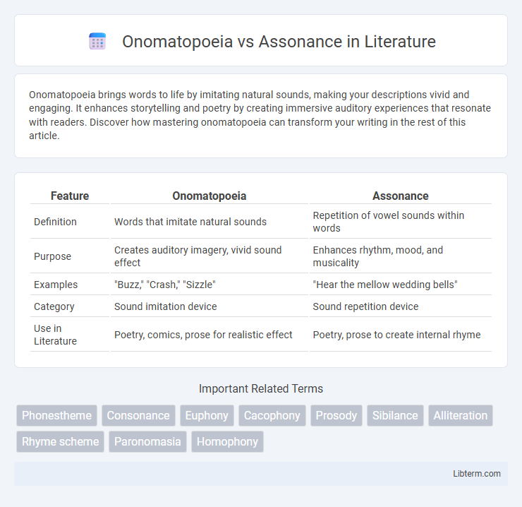 Assonance vs Onomatopoeia in Literature - What is The Difference?