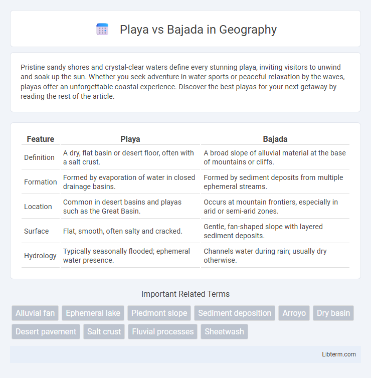 Bajada vs Playa in Geography - What is The Difference?