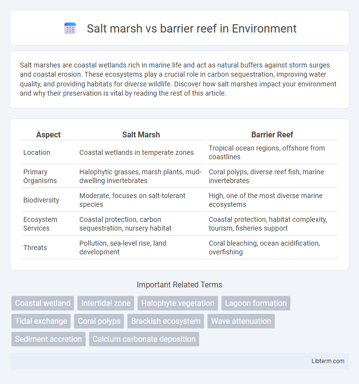 barrier reef vs Salt marsh in Environment - What is The Difference?
