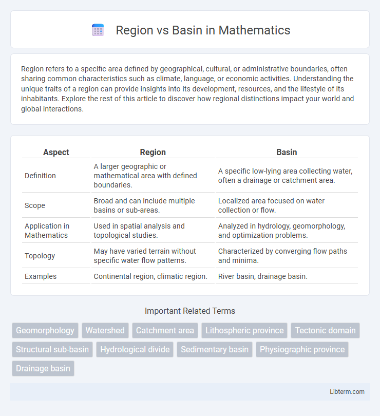 Basin vs Region in Mathematics - What is The Difference?