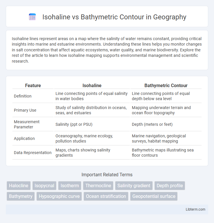 Bathymetric Contour vs Isohaline in Geography - What is The Difference?