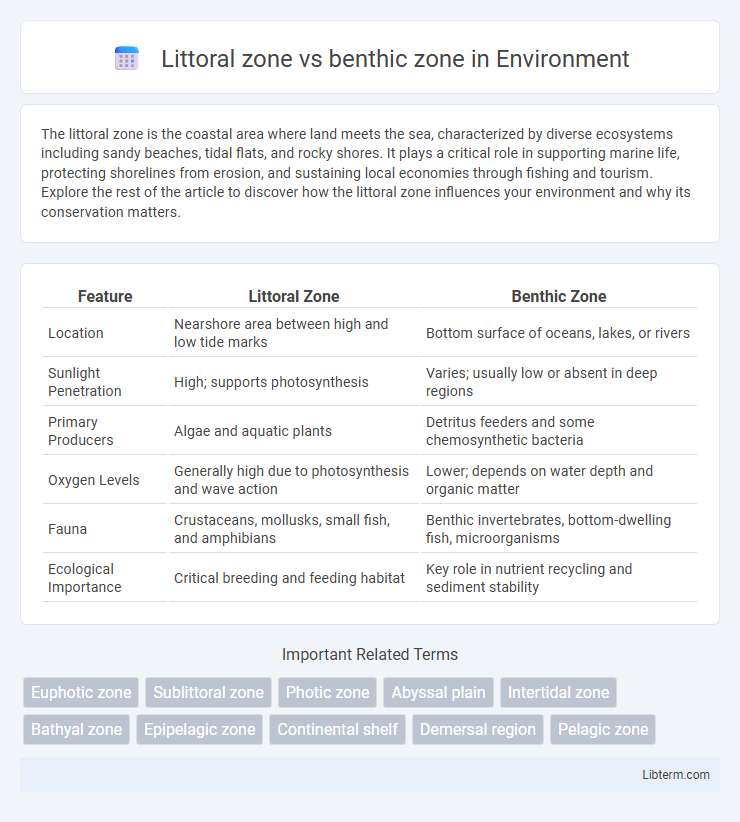 benthic zone vs Littoral zone in Environment - What is The Difference?