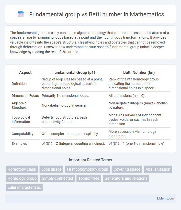 Betti number vs Fundamental group in Mathematics - What is The Difference?