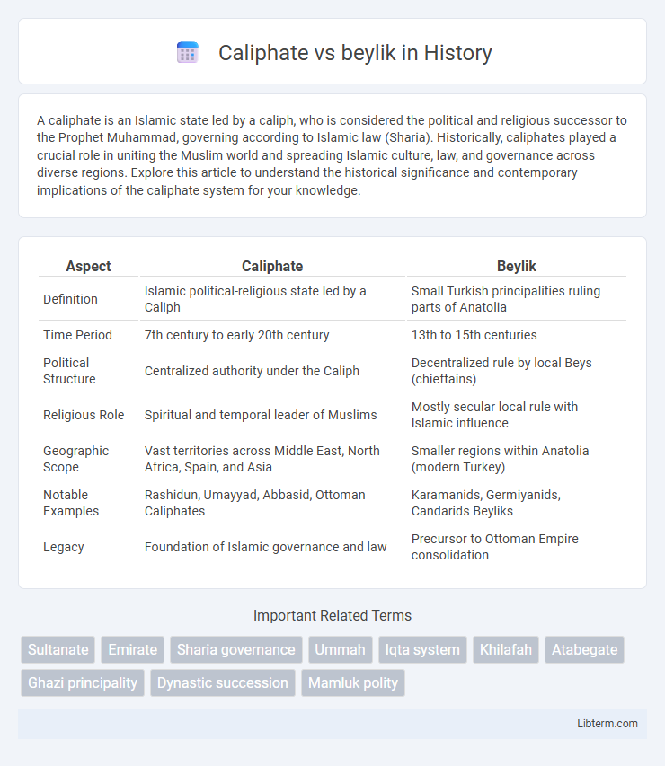 beylik vs Caliphate in History - What is The Difference?