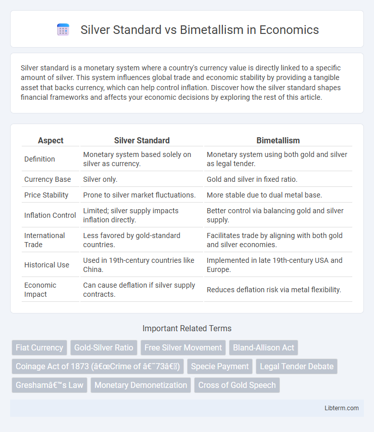 Bimetallism vs Silver Standard in Economics - What is The Difference?