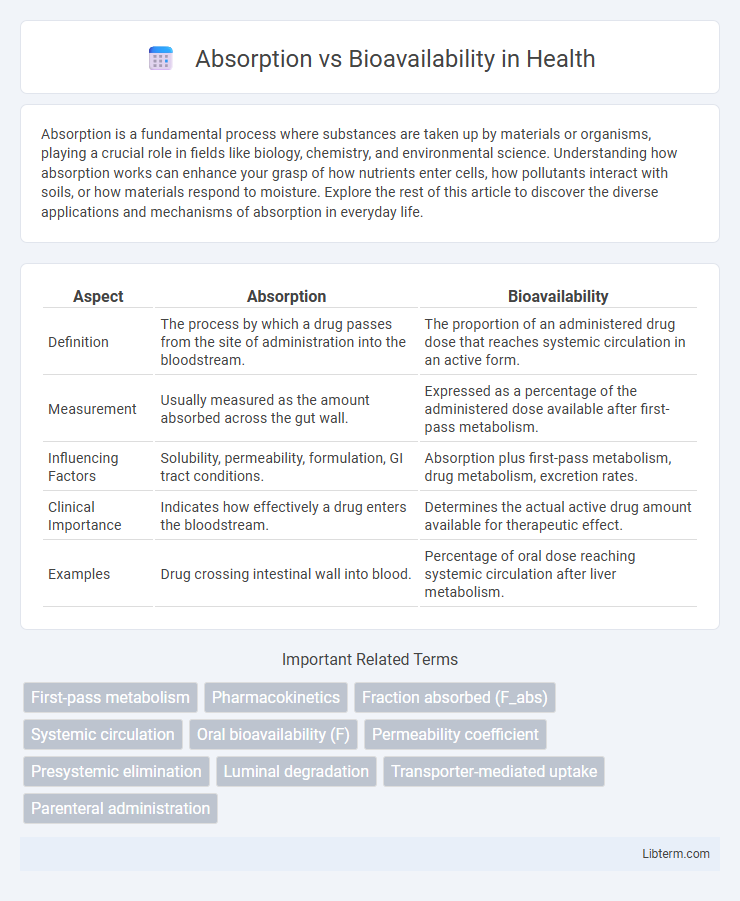 Bioavailability vs Absorption in Health - What is The Difference?