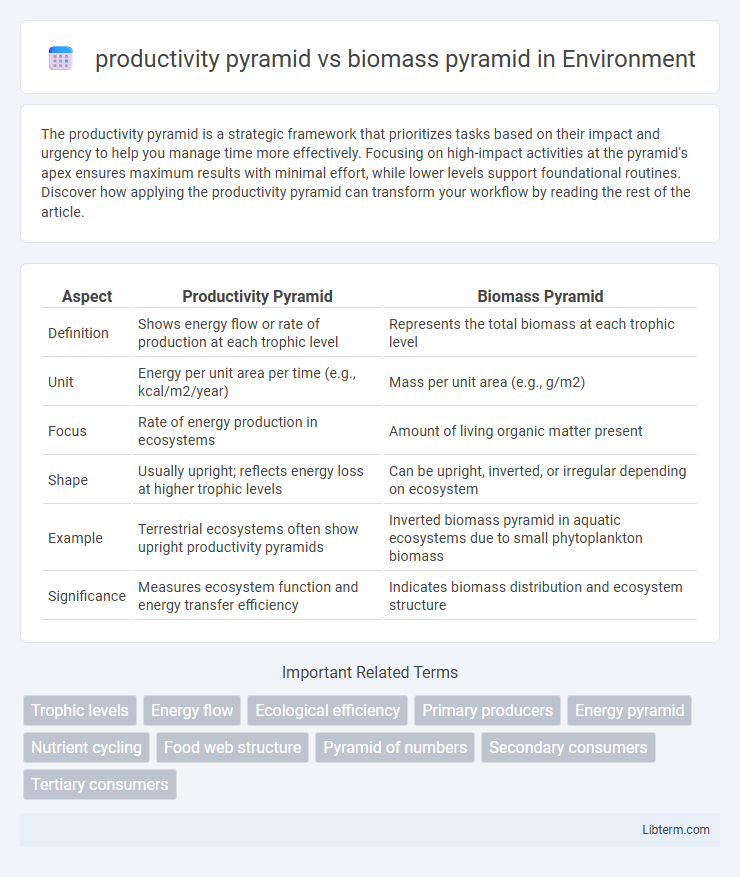 biomass pyramid vs productivity pyramid in Environment - What is The Difference?