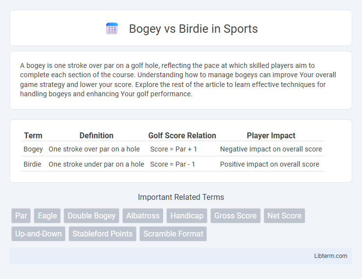 Birdie vs Bogey in Sports - What is The Difference?