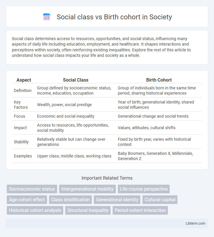 Birth cohort vs Social class in Society - What is The Difference?