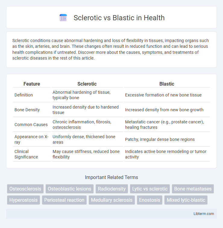 Blastic vs Sclerotic in Health - What is The Difference?