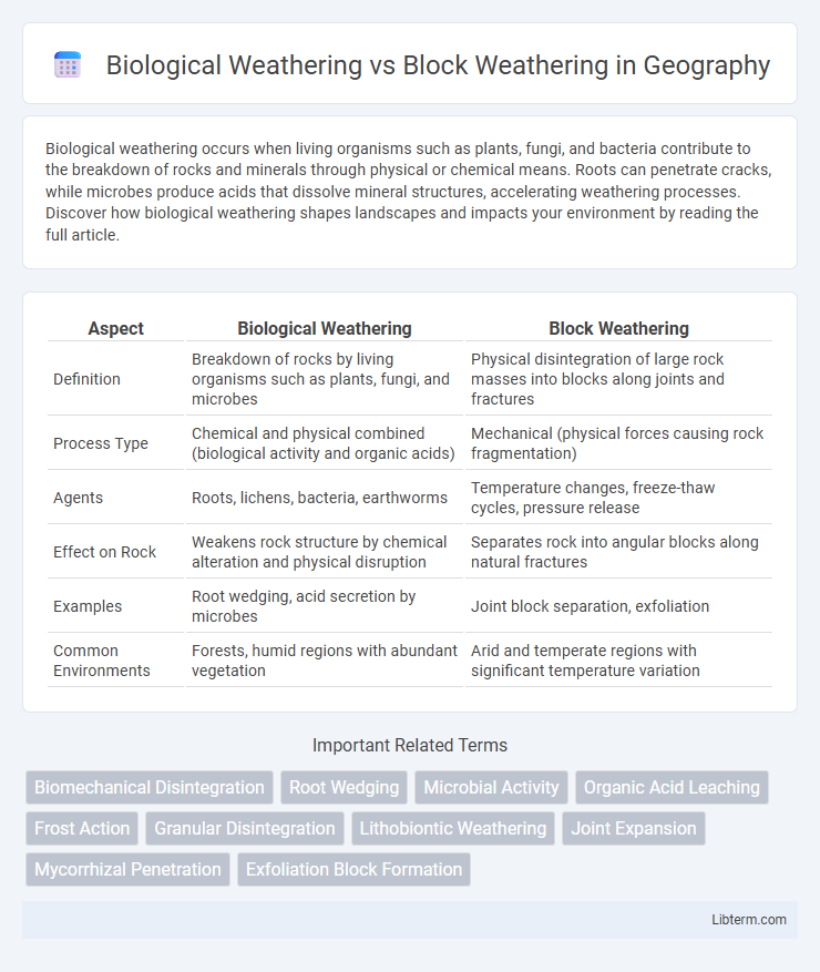 Block Weathering vs Biological Weathering in Geography - What is The Difference?