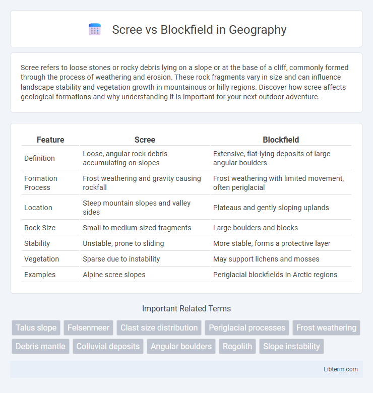 Blockfield vs Scree in Geography - What is The Difference?