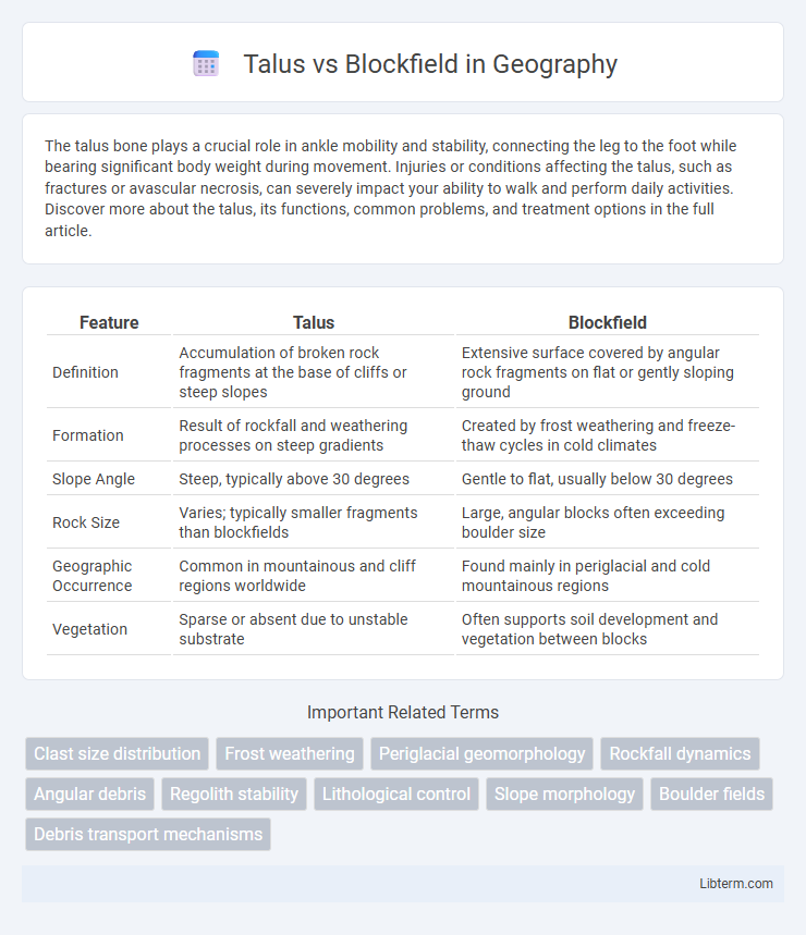 Blockfield vs Talus in Geography - What is The Difference?